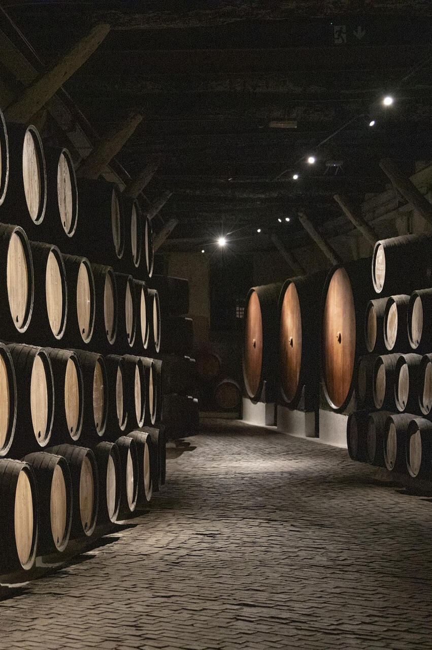 Imagen de María Fernanda Pérez