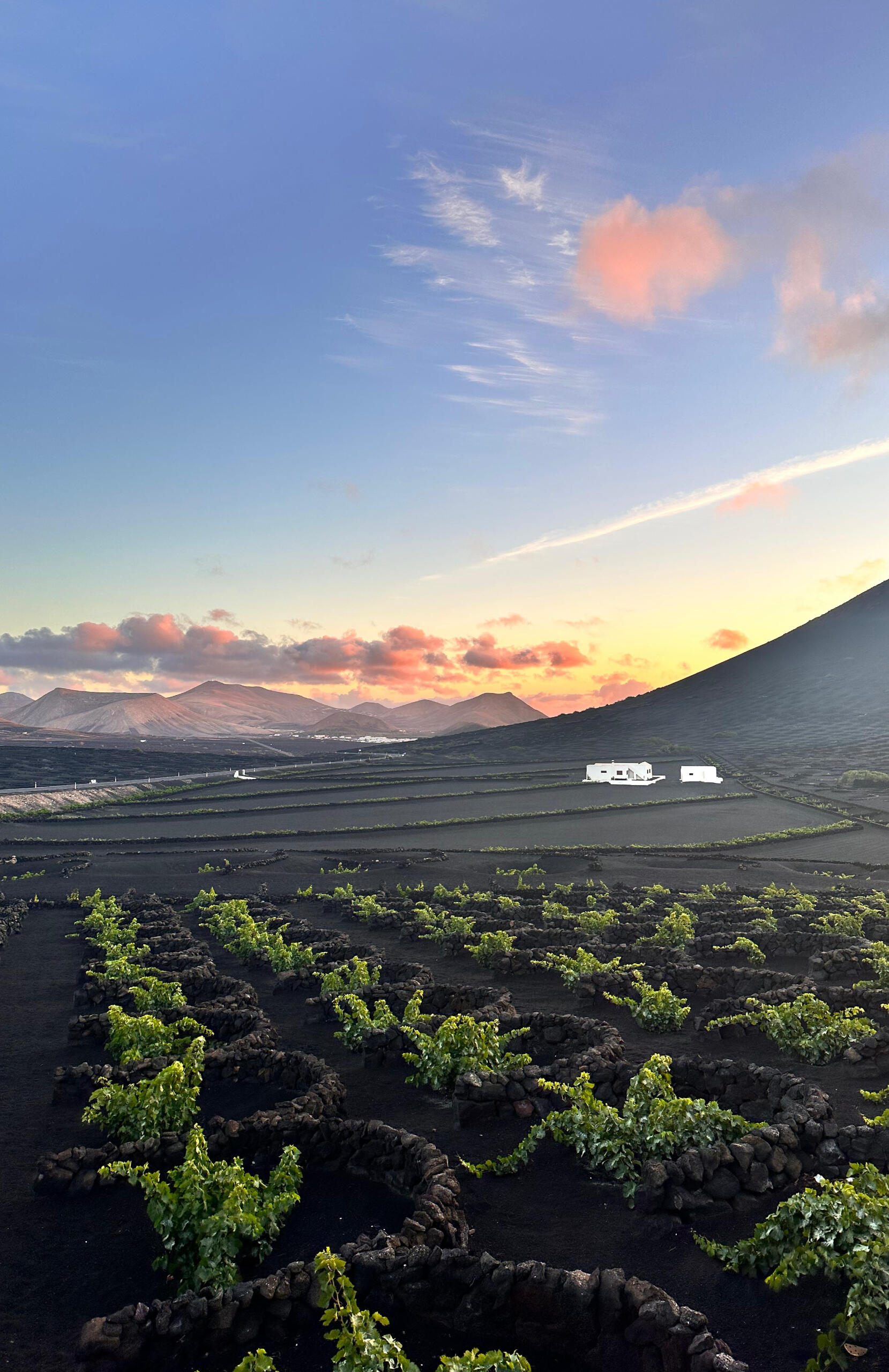 Imagen de Jean van der Meulen